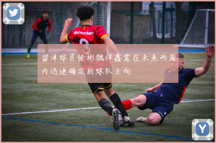 留洋球员徐彬魏祥鑫需在未来两周内迅速确定新球队去向